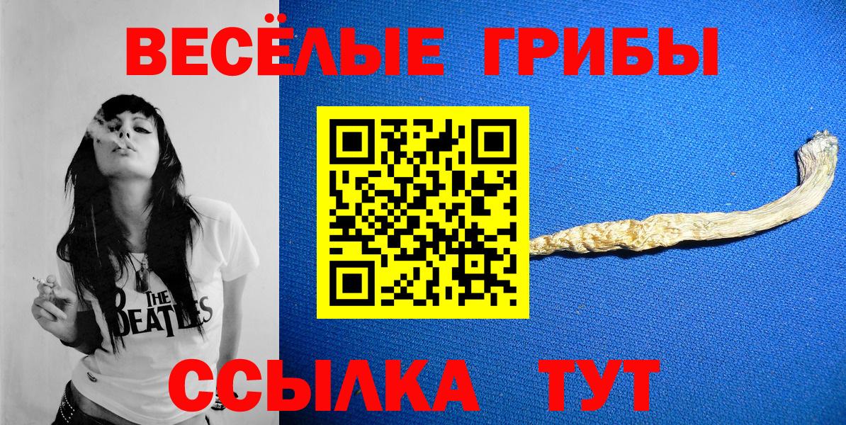 Псилоцибиновые грибы Psilocybe  Вход с VPN  Сургут 